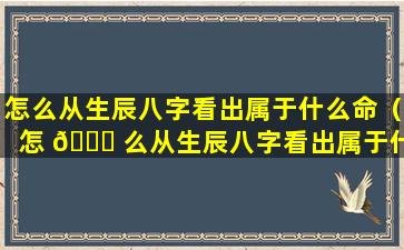 怎么从生辰八字看出属于什么命（怎 🐅 么从生辰八字看出属于什么命格）